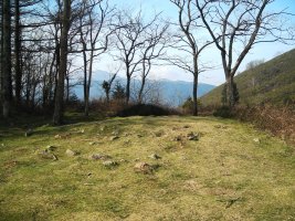 Pittarre harrespilak