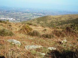 Xoldokozelai  I  trikuharria