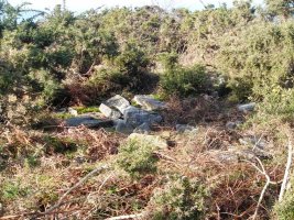 Xoldokozelai II trikuharria