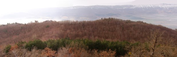 Aritzabal edo Urbaran mendiko gandorra