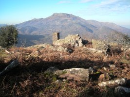 Larria II  trikuharria