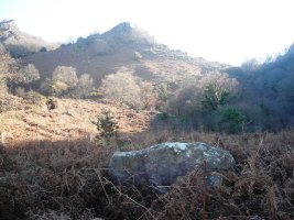 Atermin  trikuharria