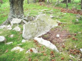 Argibele I  trikuharria