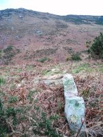 Gaztiñabakar  III trikuharria