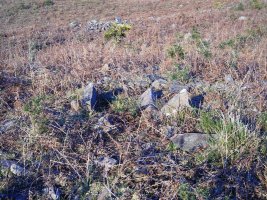 Larratzu  trikuharria