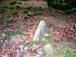 Errandonea  2  hego trikuharria