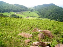 Enpazabal  trikuharria