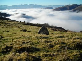 Zimiztako Lepoa harrespila