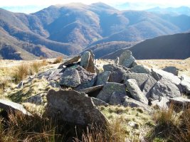 Bardaxilo trikuharria