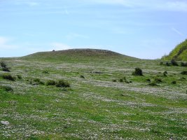 Santa  Teodosia  trikuharria