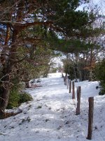 Migoletako gailurra azken aldapatik