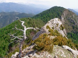 Dozolako gandorra ekialderantz