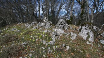 Erdialdeko beste tontor bat, harri pilaz markatua