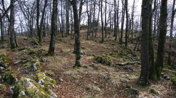 Erdiko tontorraren inguruak