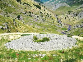 El Salto trikuharria