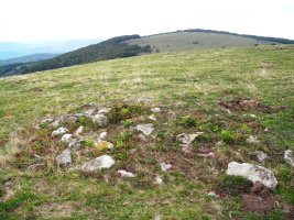 Ortxola eremu tumularra