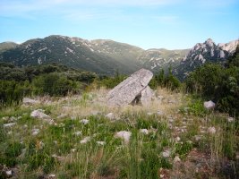 La Piatra trikuharria