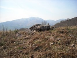 Artxuita trikuharria