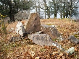 Tonbako Erreka trikuharria