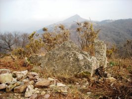 Xarita I trikuharria