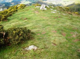 Boreiko Arri  2  harrespila