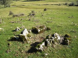 Legaire hego  trikuharria