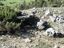 Itaida ipar trikuharria