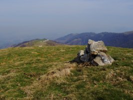 Beillurtiko gailurra