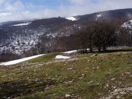 Larginburuko etxola hondoa