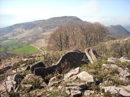 Legate 1  trikuharria