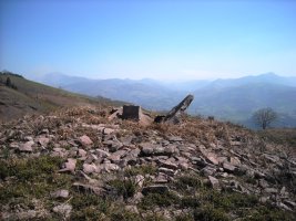 Mairu Harri trikuharria