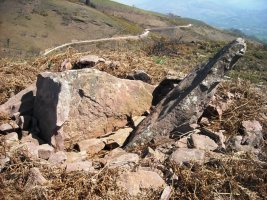 Mairu Harri trikuharria