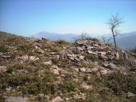 Xaldarri 2 hego trikuharria