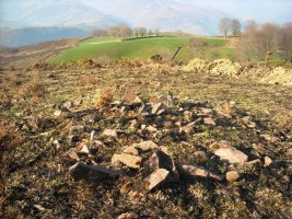 Larratzu trikuharria