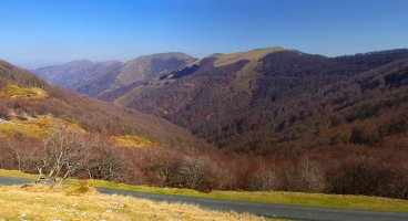 Laurinaga Burdinkurutxeta lepotik
