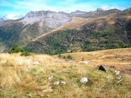 Colladeta Campanil Oeste harrespila