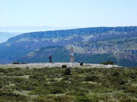 El  Gustal  zutarria