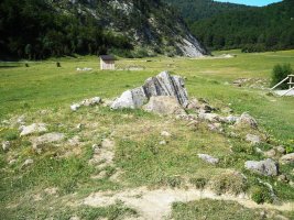 Linza  1 norte  trikuharria