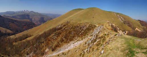 Urtarai Burdinkurutxetako lepotik