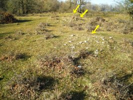 Askain eremu tumularra