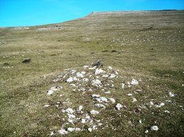 Atau eremu tumularra