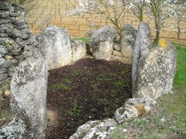 San Martín trikuharria