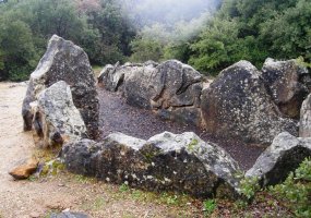 Los Llanos trikuharria