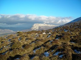 Arbotton tumulo de anillo