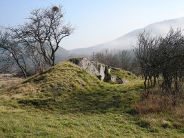 Gurpide hego trikuharria