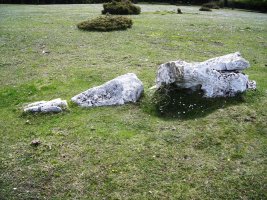 Otsaportillo  2 hego  zutarria