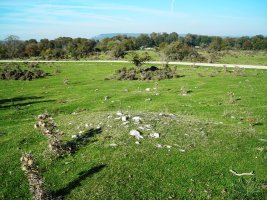 Rasos de Ezpola eremu tumularra