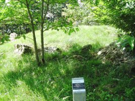 Arreginea harrespila