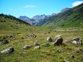 Pie Baranco Barcal harrespilak