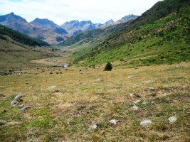 Mallo Blanco harrespilak